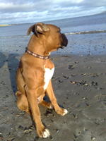 20122009768.jpg