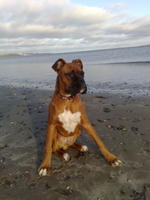 20122009770.jpg