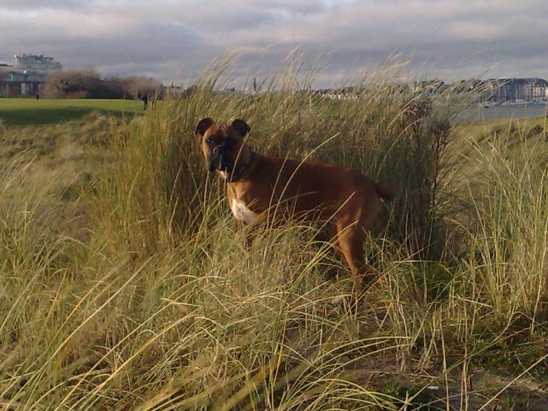 20122009771.jpg