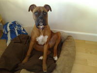 20122009772.jpg