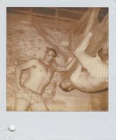 Pola0001.jpg