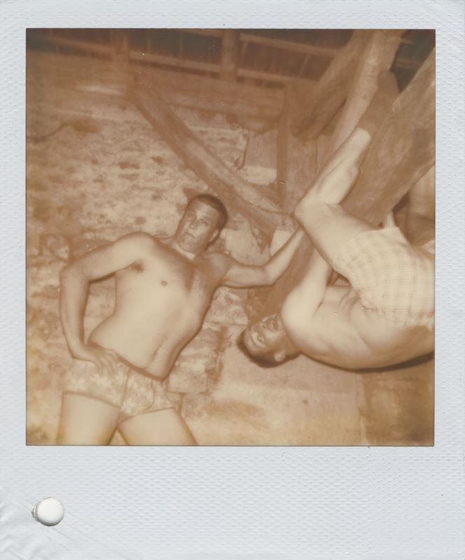 Pola0001.jpg
