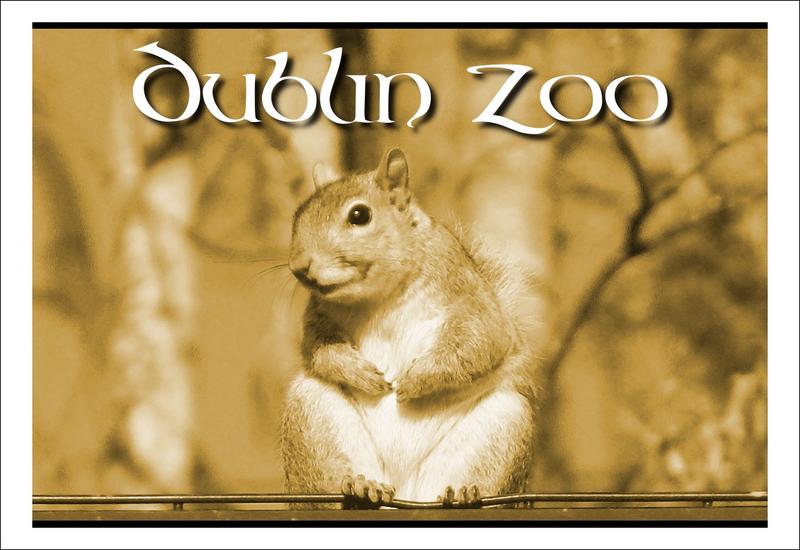 Dublin Zoo.jpg