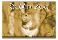 Dublin Zoo.jpg