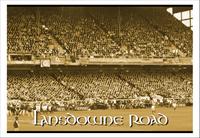 Lansdowne Road.jpg
