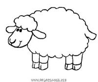 Mouton2.JPG