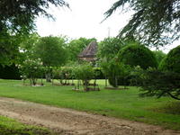 P1000353.JPG