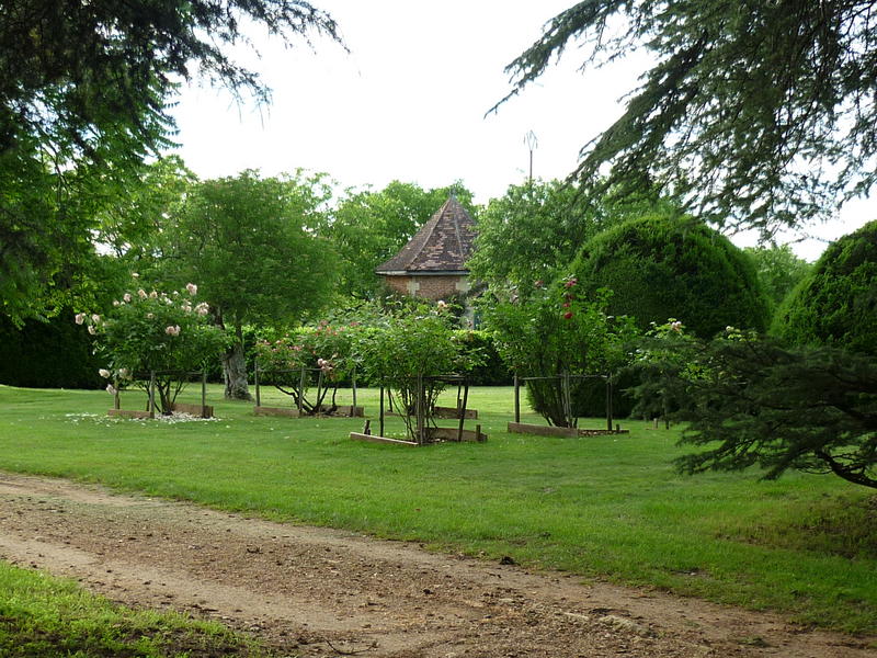 P1000353.JPG
