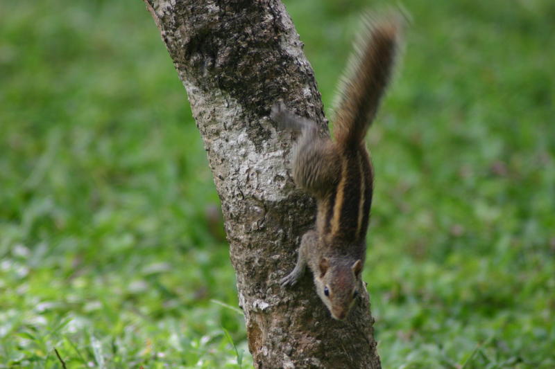 img_9391.jpg