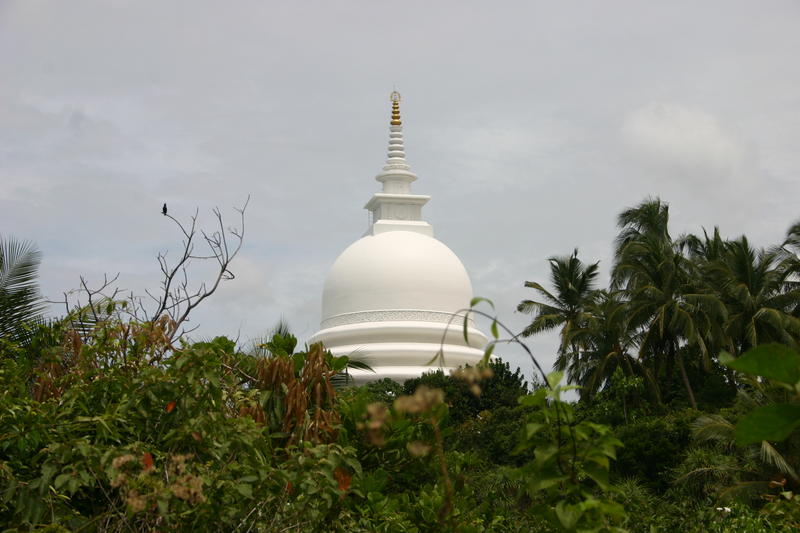 img_9448.jpg