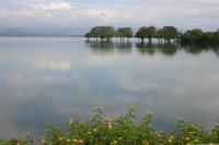 img_9608.jpg
