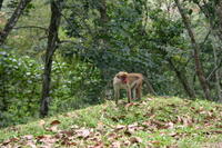 img_9615.jpg