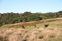img_9625.jpg