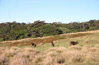 img_9626.jpg