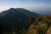 img_9635.jpg