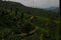 img_9712.jpg