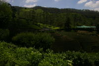 img_9761.jpg
