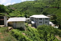 img_9762.jpg