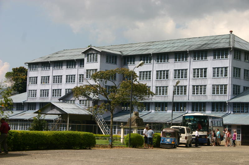 Tea factory