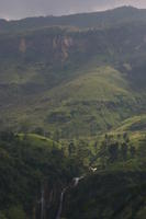 img_9780.jpg