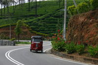 On The Road