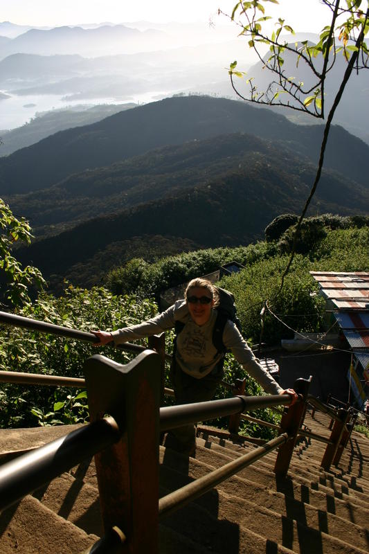 5200 steps to the top