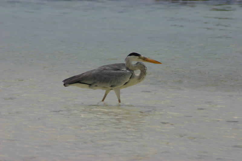 img_0086.jpg