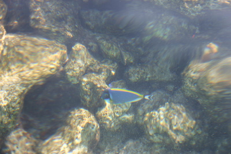 img_0098.jpg