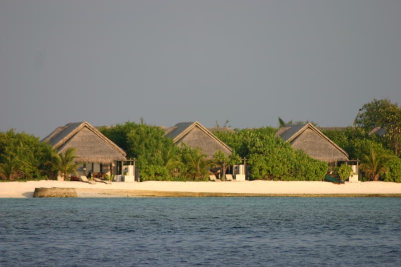img_0140.jpg