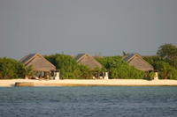 img_0140.jpg