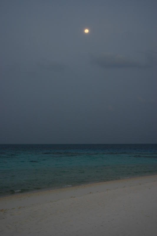 img_0234.jpg