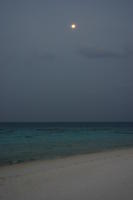 img_0234.jpg