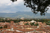 img_3885.jpg