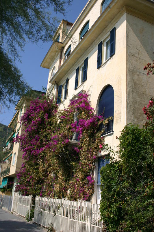 Monterosso