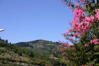 img_4053.jpg