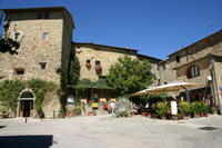 Volpaia