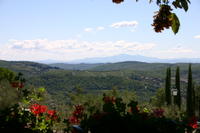 img_4081.jpg