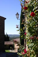 Volpaia