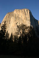 img_4485.jpg