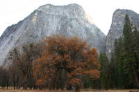 img_4487.jpg