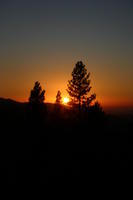 img_4503.jpg