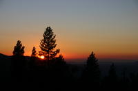 img_4506.jpg