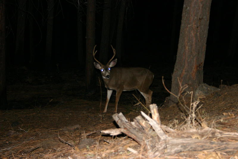 img_4521.jpg