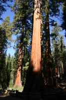 img_4546.jpg