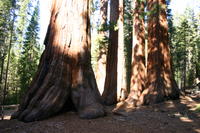 img_4547.jpg