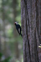 img_4574.jpg