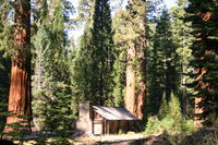 img_4580.jpg