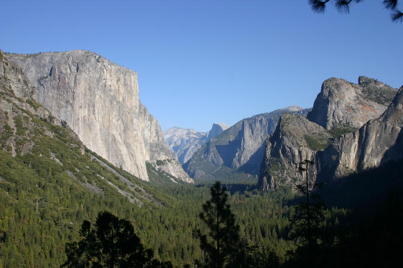 img_4596.jpg