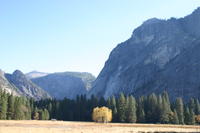 img_4603.jpg