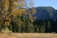 img_4608.jpg